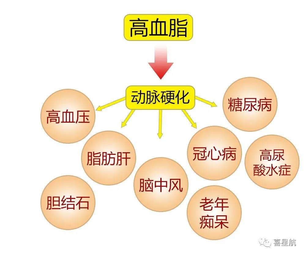 關(guān)于高血壓、糖尿病患者，9月1日起城鄉(xiāng)居民醫(yī)保門診用藥保(圖3)